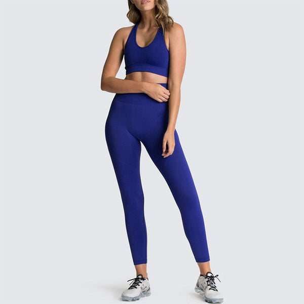 Women's Seamless Sportswear 2-Piece Gym Yoga Clothes
